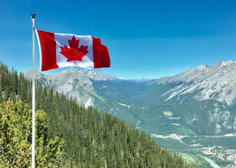 木材争议风云突变:加拿大撤销关税申诉,美方却坐收数十亿!(图1) 木材争议风云突变:加拿大撤销关税申诉,美方却坐收数十亿!(图1)