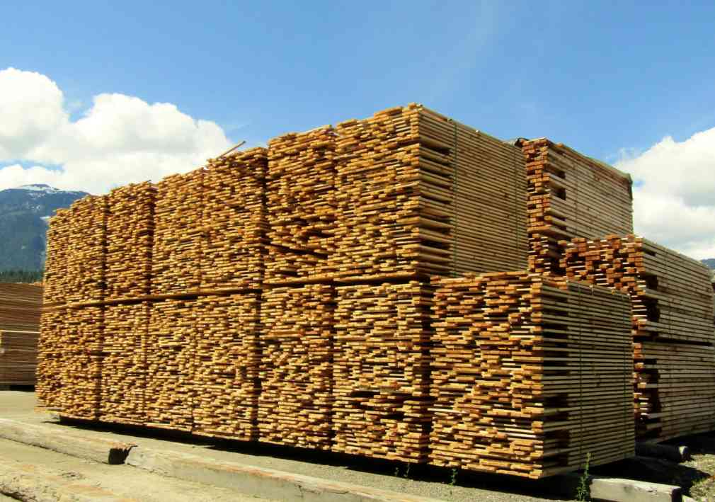 原木短缺，成本持续攀升，木材厂宣布无限期停业！(图1)