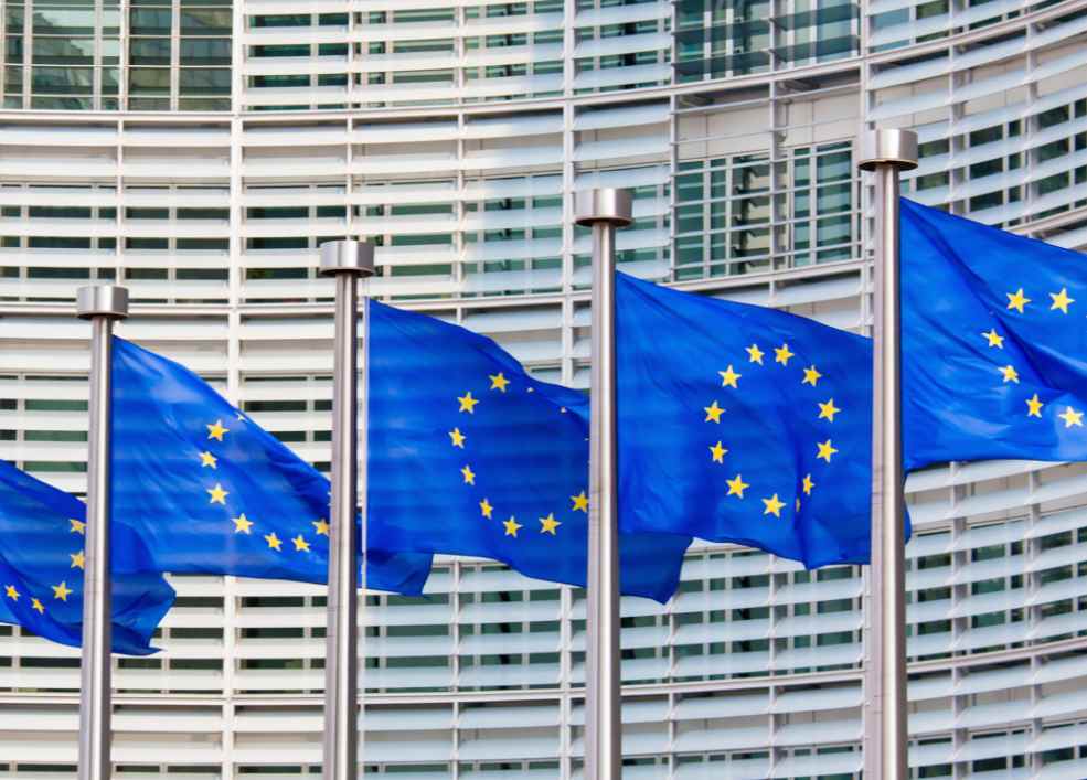 欧盟森林砍伐条例再次推迟!中国出口商获得“喘息之机”?(图2) 欧盟森林砍伐条例再次推迟!中国出口商获得“喘息之机”?(图2)