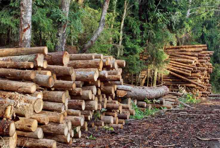 欧洲软木在中国市场缩水20.1%，金额减少4.74亿(图4)