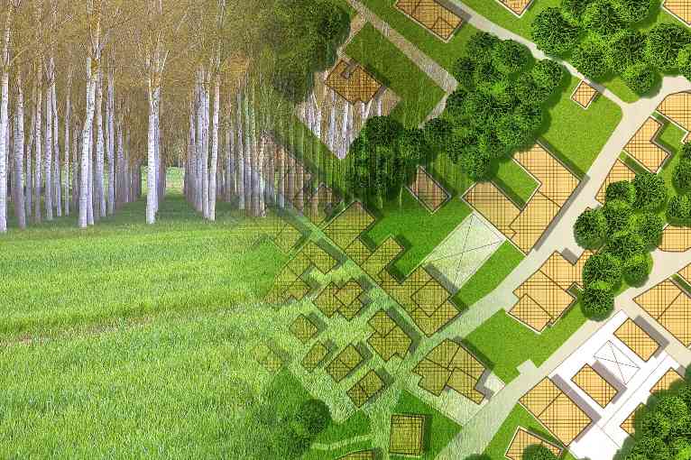 从听声辨树到激光扫描:澳大利亚林业进入单木清单数字化时代(图1) 从听声辨树到激光扫描:澳大利亚林业进入单木清单数字化时代(图1)