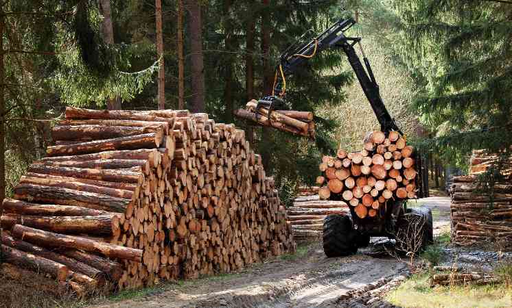 欧洲软木在中国市场缩水20.1%，金额减少4.74亿(图5)