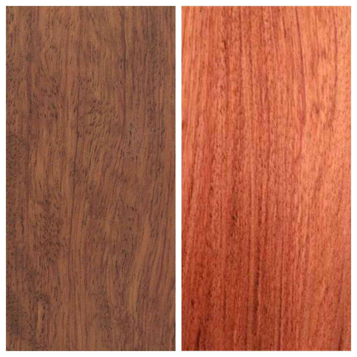 一文分清大巴花与小巴花！核心区别解析，采购避坑必看(图1)