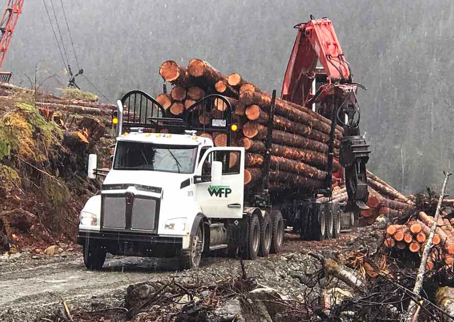 突发！又一木材巨头宣布临时性减产！预计累计达全年产能的6%(图2)