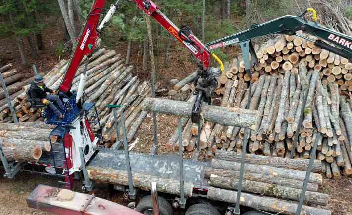 市场低迷“浇灭”木材增产计划，行业人士：企业利润减少(图1)