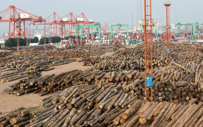 波兰封锁中欧班列，我国木材贸易如何逆势突围？(图1)