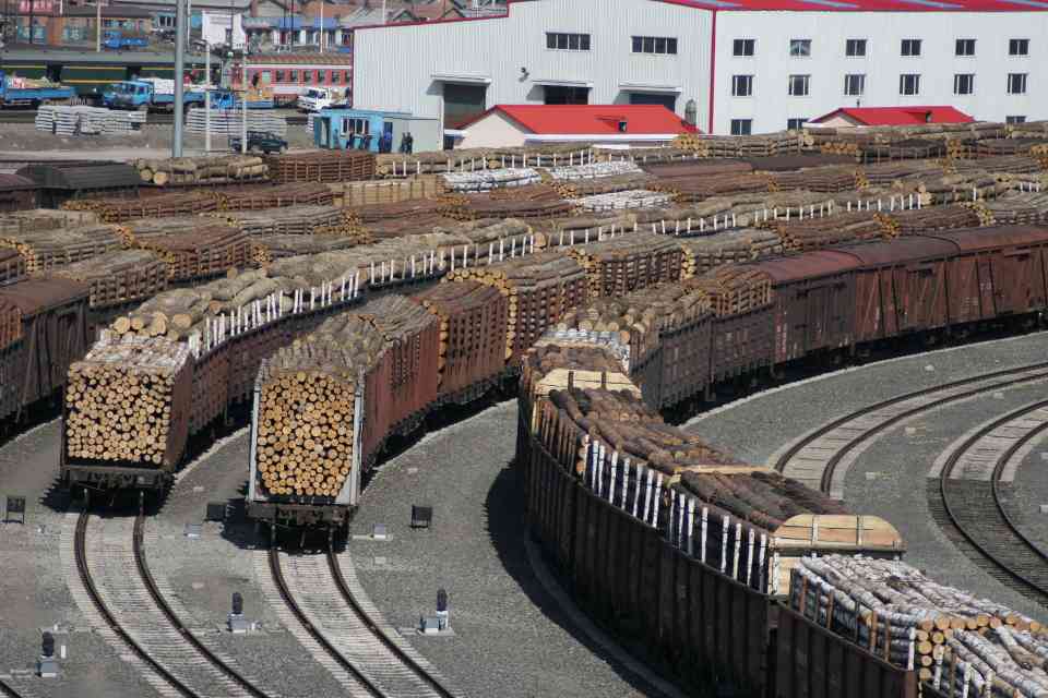 波兰封锁中欧班列，我国木材贸易如何逆势突围？(图2)