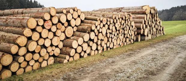 欧盟新规将致德国木材业损失18亿欧元，中小企业合规压力最大(图1)