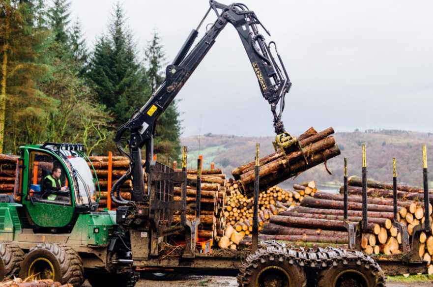 欧美船东突然出手！加税危机引爆“黄金航线”？木材出海难了(图2)