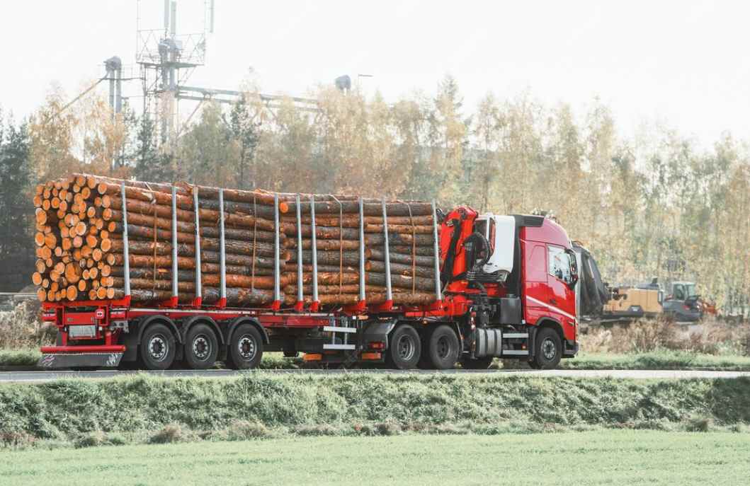 欧美船东突然出手！加税危机引爆“黄金航线”？木材出海难了(图1)