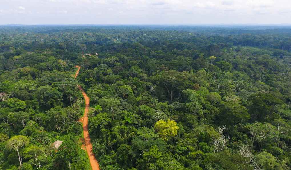 第八届中日韩林业合作会议在韩国首尔举办(图2)