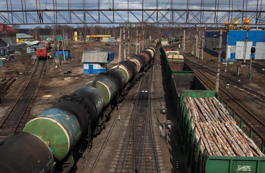 紧急放开“砍树指标”限制，木材市场要变天？(图1)