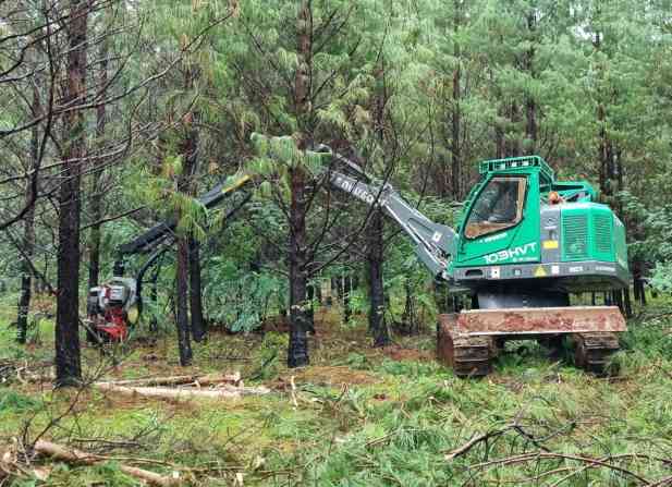 投资机构出手!南非这家百年木材公司得到重大投资(图2) 投资机构出手!南非这家百年木材公司得到重大投资(图2)