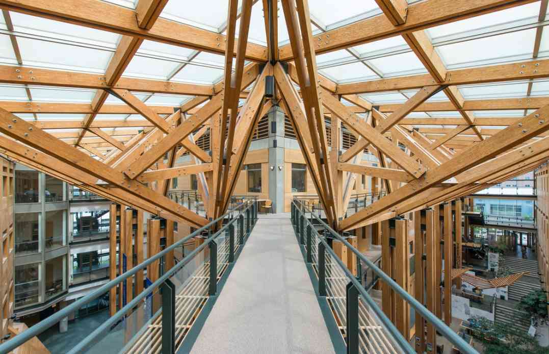 木材关税引发分歧！业界担忧：建材成本过高，房价飙升将拖垮行业(图1)