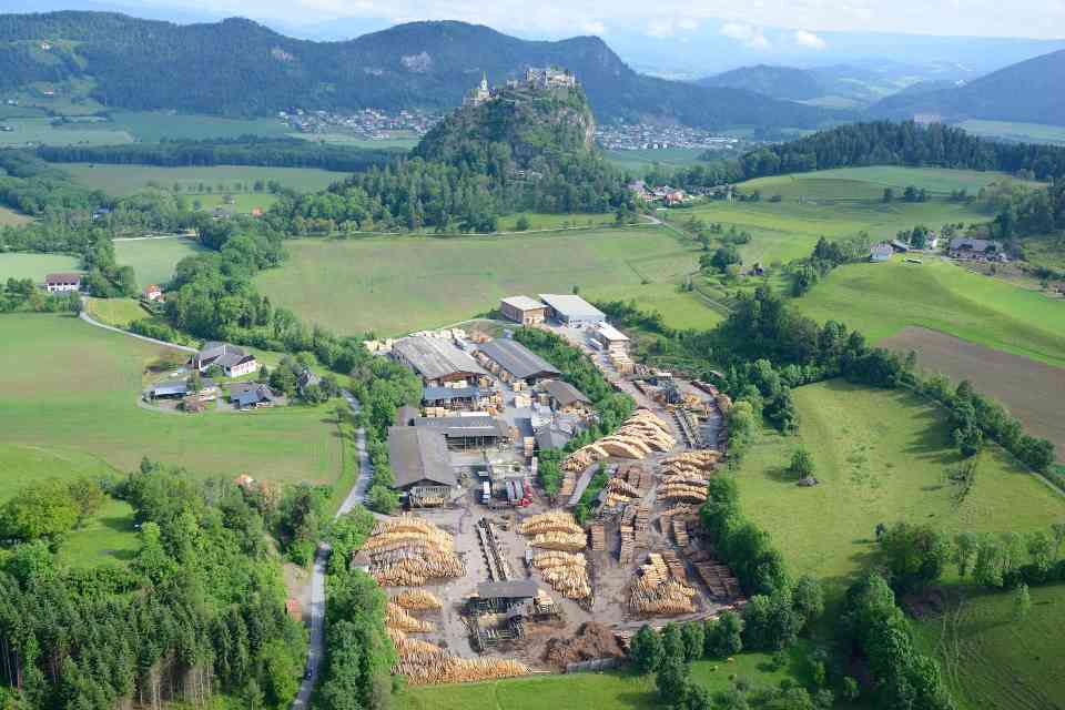 EUDR 来袭：欧洲木材行业年增 30 亿欧成本 德奥企业呼吁设 “零风险” 类别(图2)