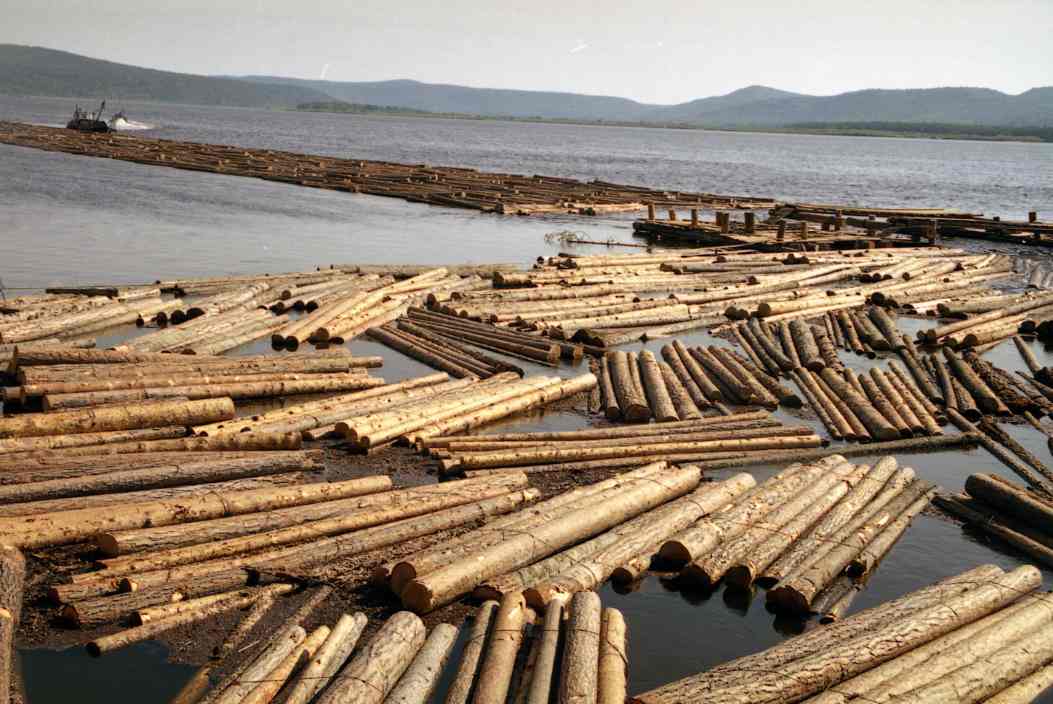 重新贴标掩盖来源!这地发现一起“违禁木材”流入(图2) 重新贴标掩盖来源!这地发现一起“违禁木材”流入(图2)