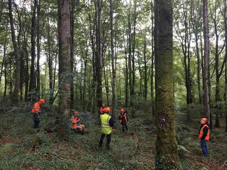 气候目标与经济现实的冲突：瑞典芬兰反对欧盟强制削减木材采伐量(图3)
