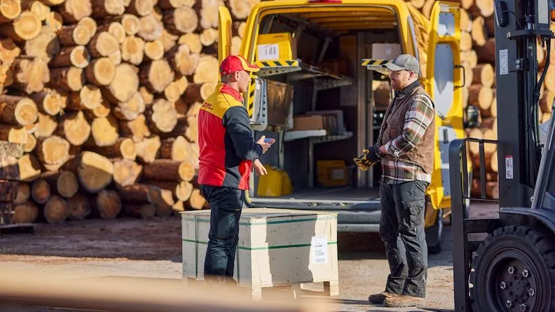 中国制造席卷全球：新西兰胶合板产业如何应对71%市场占有率？(图2)