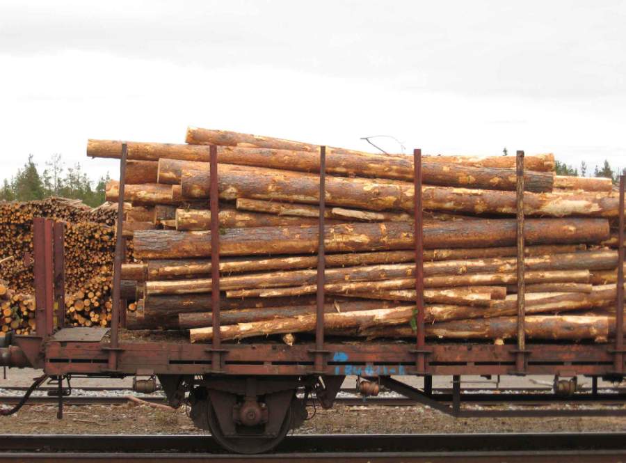 暴降75.7%!对中国软木出口“雪崩”,欧盟木材业面临双重绝杀(图1) 暴降75.7%!对中国软木出口“雪崩”,欧盟木材业面临双重绝杀(图1)