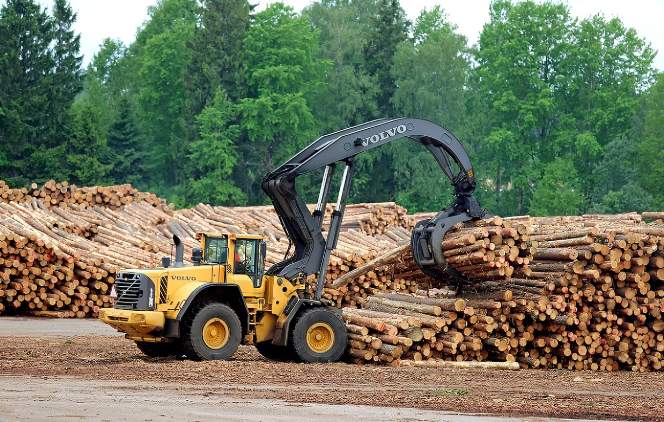 暴降75.7%!对中国软木出口“雪崩”,欧盟木材业面临双重绝杀(图3) 暴降75.7%!对中国软木出口“雪崩”,欧盟木材业面临双重绝杀(图3)