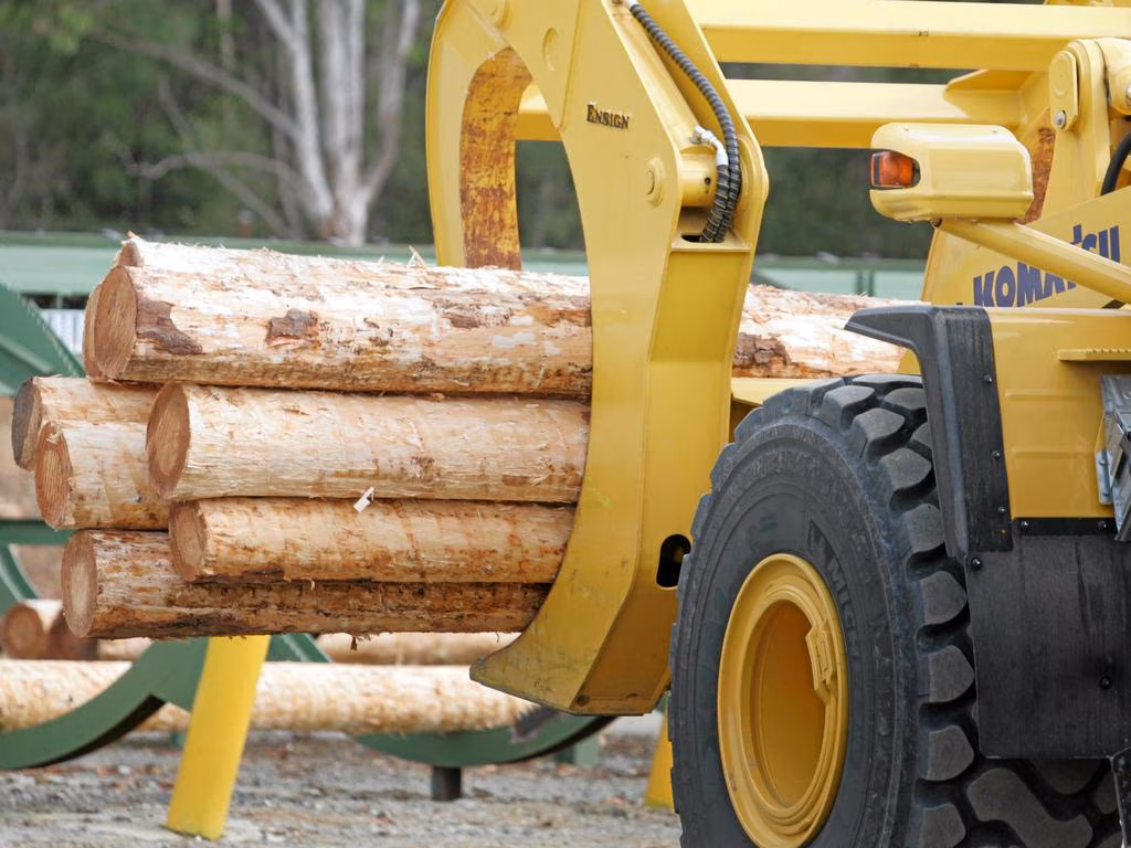 新西兰木材业再受重创:最大胶合板厂突然关闭,119人面临失业(图2) 新西兰木材业再受重创:最大胶合板厂突然关闭,119人面临失业(图2)