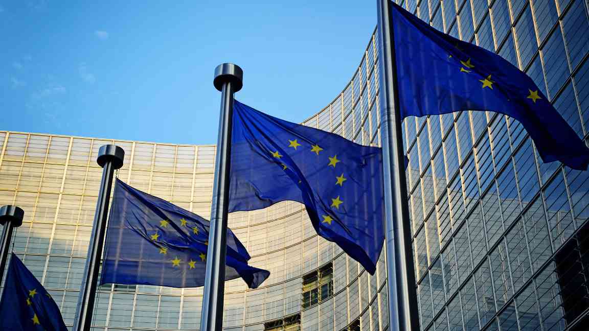官僚主义还是环境保护？EUDR法规引发全球木材贸易震荡(图2)