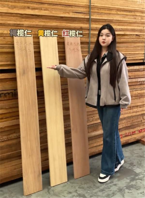 红、黄、褐榄仁木怎么分？一文厘清核心差异与应用边界(图1)