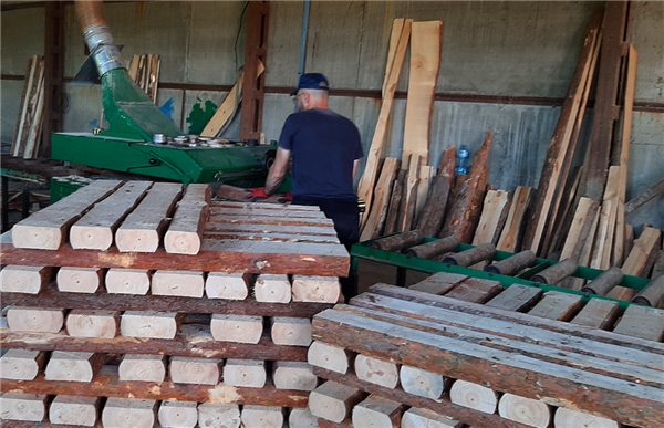 保加利亚木材采伐量跌至历史新低,或限制欧洲对外供应(图2) 保加利亚木材采伐量跌至历史新低,或限制欧洲对外供应(图2)