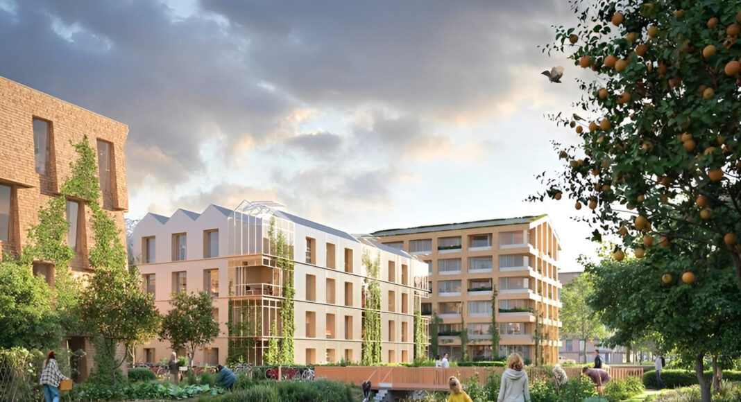 荷兰新社区用 “植物建材” 打造低碳住宅(图1)