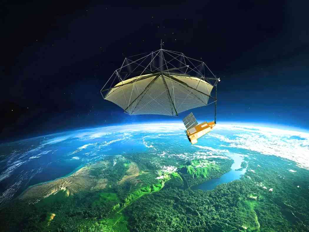 全球首例3D碳分布图：新西兰森林助力生物质卫星研究(图1)