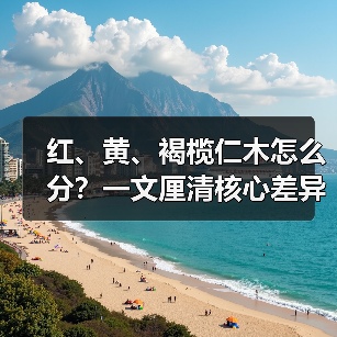 红、黄、褐榄仁木怎么分?一文厘清核心差异与应用边界(图1) 红、黄、褐榄仁木怎么分?一文厘清核心差异与应用边界(图1)