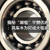 揭秘“黑檀”平替优选:风车木为何成大板茶桌高端材质新宠?(图1) 揭秘“黑檀”平替优选:风车木为何成大板茶桌高端材质新宠?(图1)