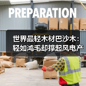 世界最轻木材巴沙木:轻如鸿毛却撑起风电产业半边天(图4) 世界最轻木材巴沙木:轻如鸿毛却撑起风电产业半边天(图4)