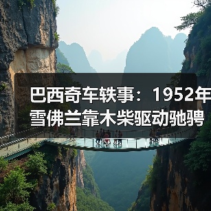 巴西奇车轶事：1952年雪佛兰靠木柴驱动驰骋半世纪（图2）