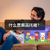 什么是熏蒸托箱?(图2) 什么是熏蒸托箱?(图2)