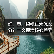 红、黄、褐榄仁木怎么分？一文厘清核心差异与应用边界（图2）