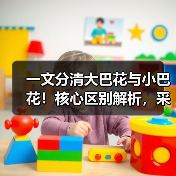 一文分清大巴花与小巴花！核心区别解析，采购避坑必看（图1）