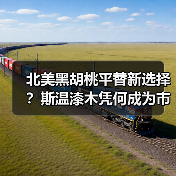 北美黑胡桃平替新选择？斯温漆木凭何成为市场新宠（图1）