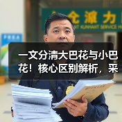 一文分清大巴花与小巴花！核心区别解析，采购避坑必看（图2）