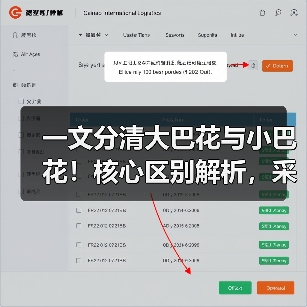 一文分清大巴花与小巴花！核心区别解析，采购避坑必看（图1）