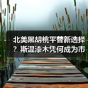 北美黑胡桃平替新选择？斯温漆木凭何成为市场新宠（图1）