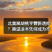 北美黑胡桃平替新选择？斯温漆木凭何成为市场新宠（图2）