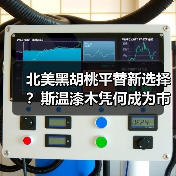 北美黑胡桃平替新选择?斯温漆木凭何成为市场新宠(图4) 北美黑胡桃平替新选择?斯温漆木凭何成为市场新宠(图4)
