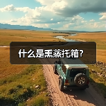 什么是熏蒸托箱？（图4）