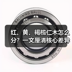 红、黄、褐榄仁木怎么分？一文厘清核心差异与应用边界（图1）