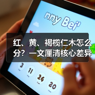 红、黄、褐榄仁木怎么分？一文厘清核心差异与应用边界（图2）