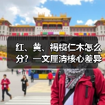 红、黄、褐榄仁木怎么分?一文厘清核心差异与应用边界(图3) 红、黄、褐榄仁木怎么分?一文厘清核心差异与应用边界(图3)