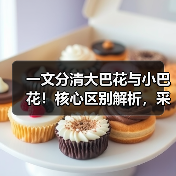 一文分清大巴花与小巴花！核心区别解析，采购避坑必看（图2）