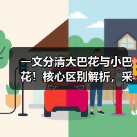 一文分清大巴花与小巴花！核心区别解析，采购避坑必看（图4）