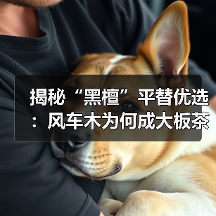 揭秘“黑檀”平替优选：风车木为何成大板茶桌高端材质新宠？（图3）